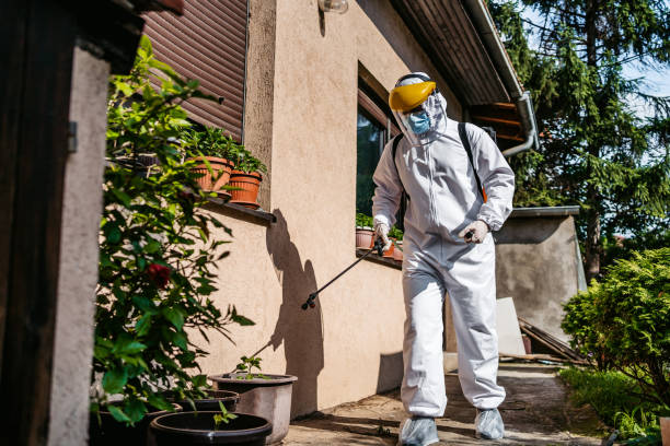 Best Pest Control Near Me in Jacksonville, TX