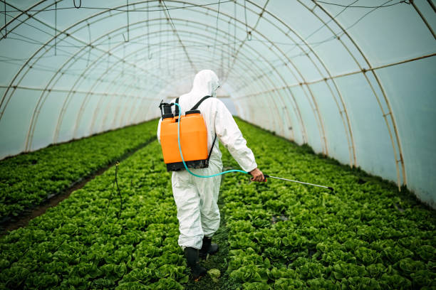 Professional Pest Control in Jacksonville, TX
