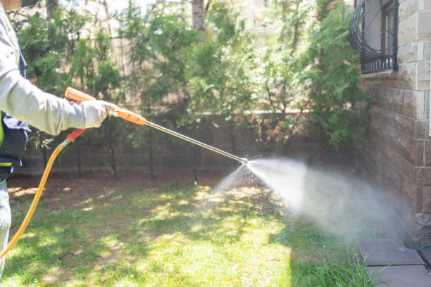 Best Mosquito Control Services  in Jacksonville, TX