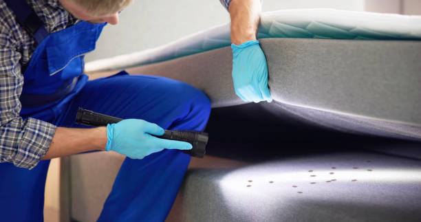 Best Residential Pest Control  in Jacksonville, TX