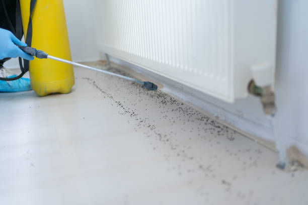 Best Pest Inspection Near Me  in Jacksonville, TX