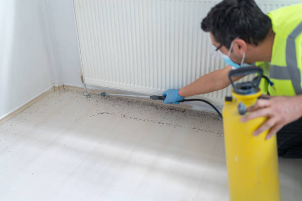Best Emergency Pest Control  in Jacksonville, TX