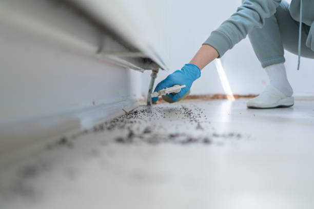 Best Wildlife Control Services  in Jacksonville, TX