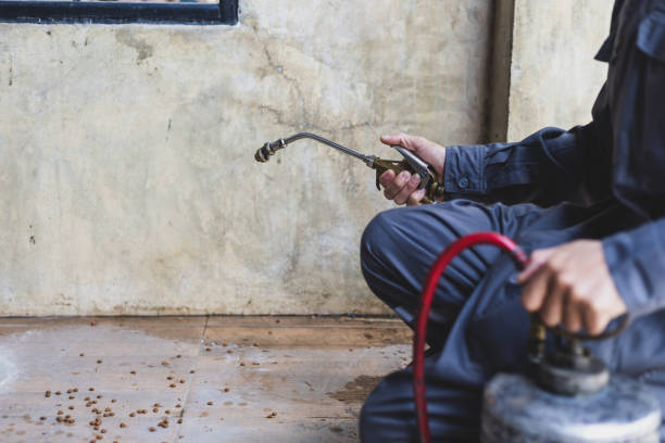Best Affordable Pest Control Services  in Jacksonville, TX